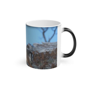 Magic Mug