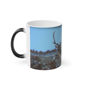 Magic Mug