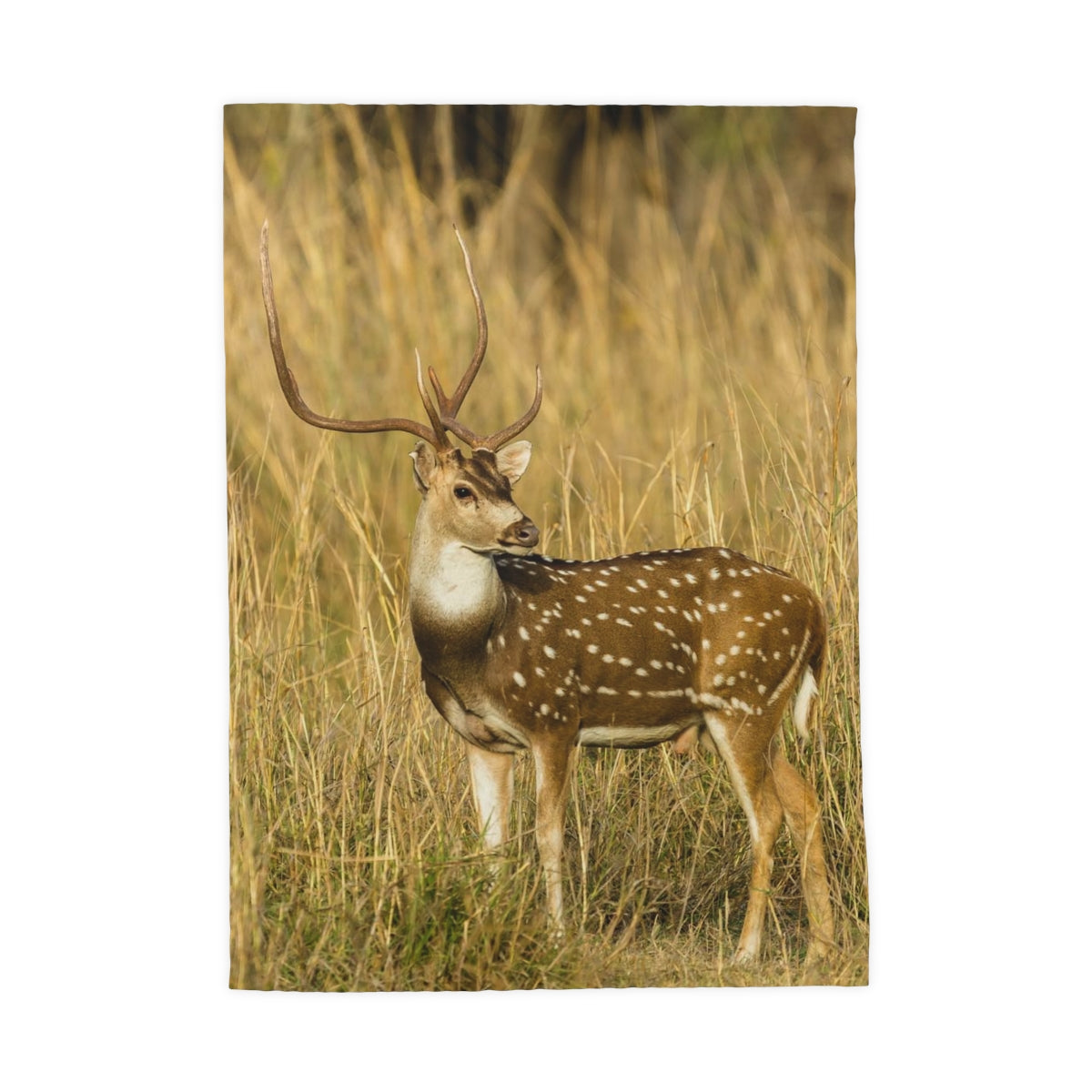 Tea & Kitchen Towel- Chital Deer