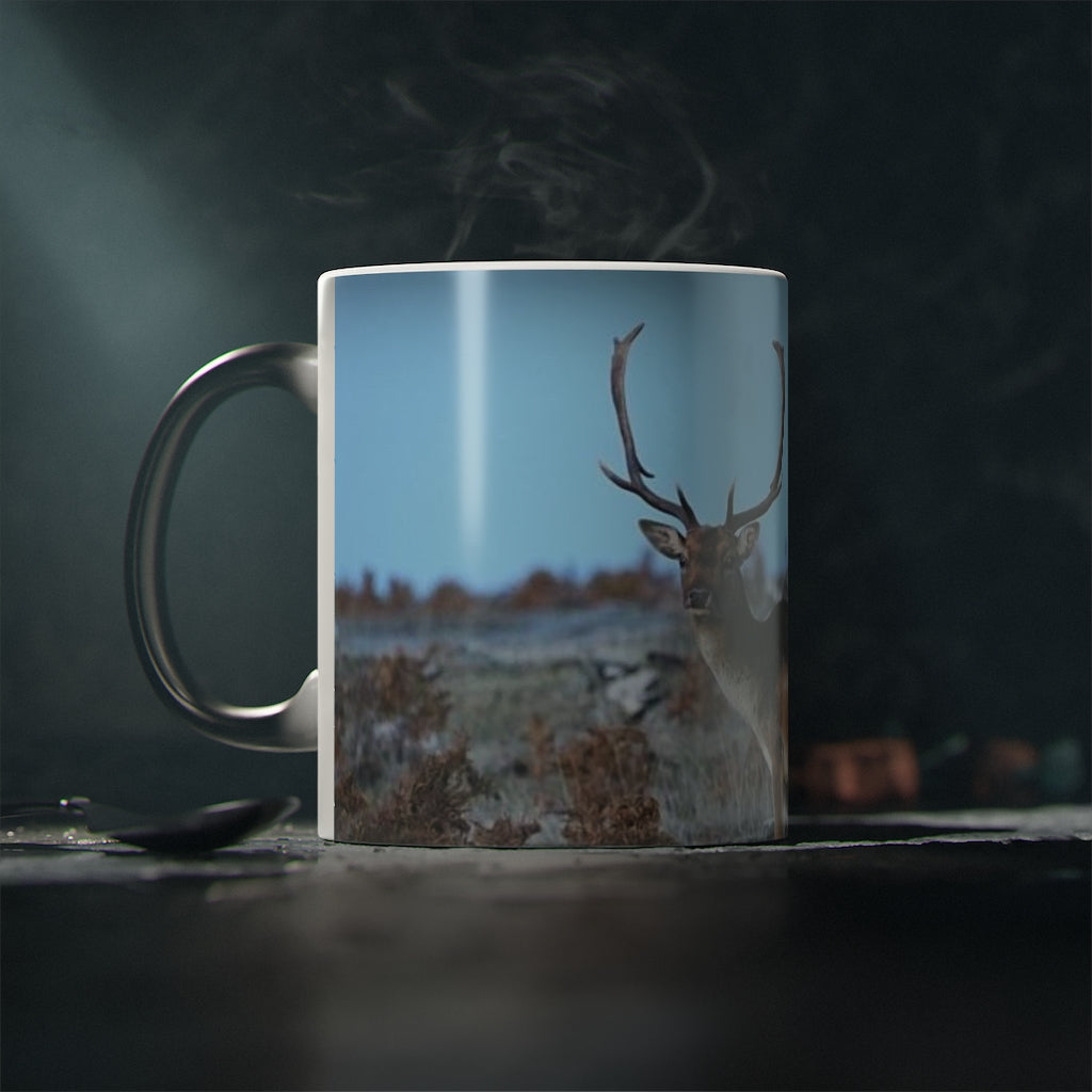 Magic Mug